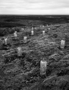 photography by Brad Temkin