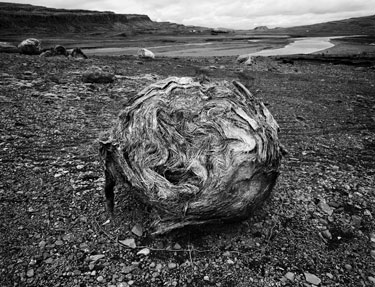 photography by Brad Temkin