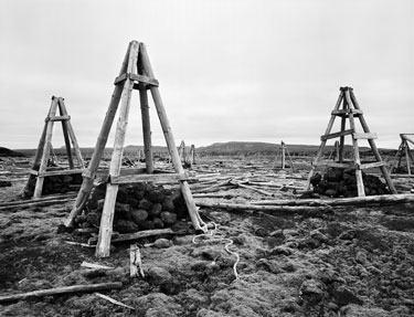 photography by Brad Temkin