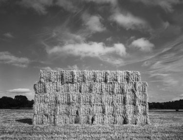 photography by Brad Temkin