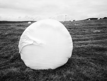 photography by Brad Temkin