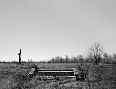 photography by Brad Temkin