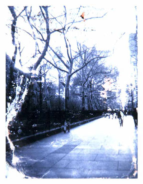 photography by Gail Thacker