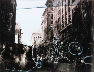 photography by Gail Thacker