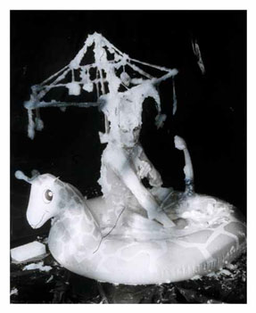 photography by Gail Thacker