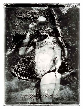 photography by Gail Thacker