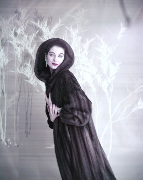 photography by Virginia Thoren