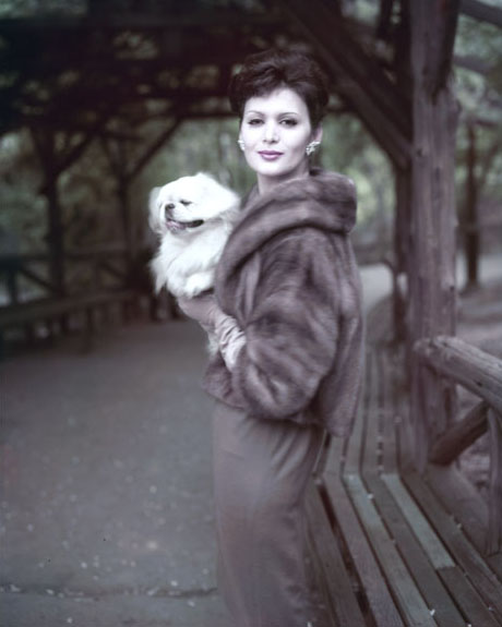 photography by Virginia Thoren
