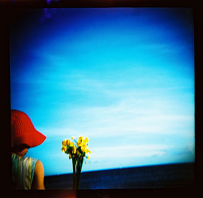 photography by Lisa Tomasetti