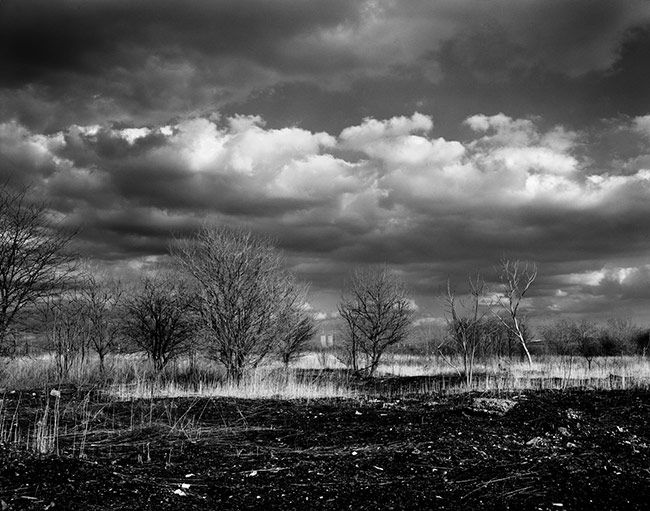 photography by Scott Walden
