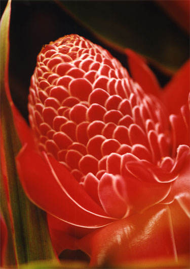 photography by Ted Witek