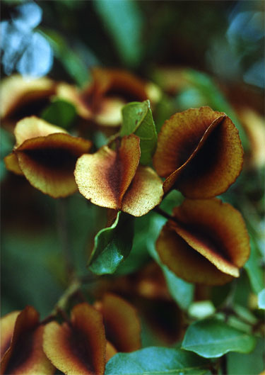 photography by Ted Witek