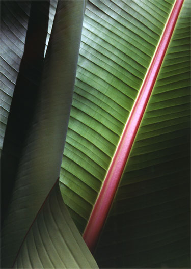 photography by Ted Witek