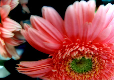 photography by Ted Witek