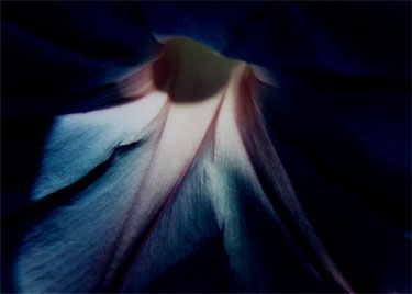 photography by Ted Witek