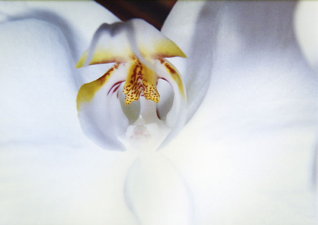 photography by Ted Witek