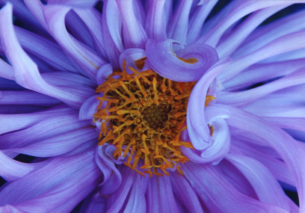 photography by Ted Witek