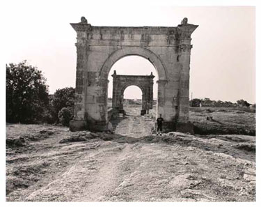 photography by Jeffrey Wolin