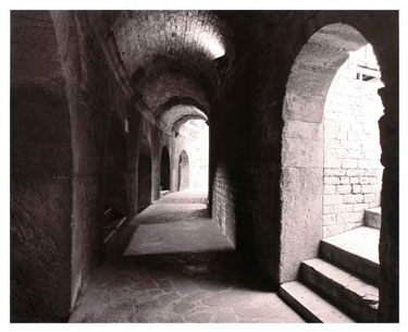 photography by Jeffrey Wolin