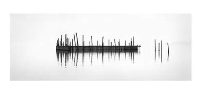 Brian Kosoff