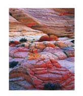 Peace on Earth exhibition