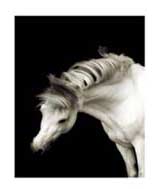 Peace on Earth exhibition