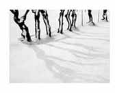 Peace on Earth exhibition